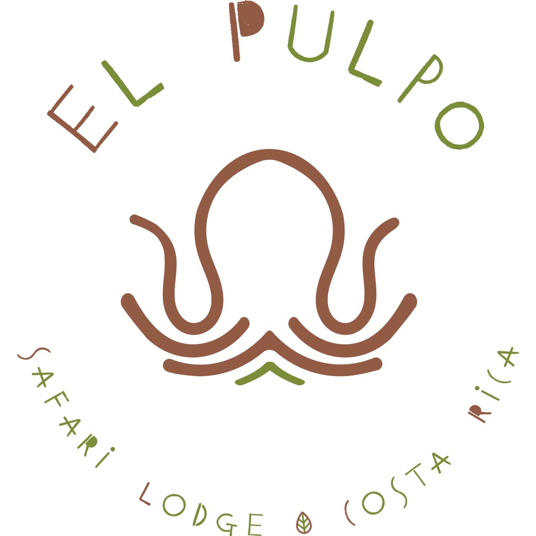 El Pulpo - Safari Lodge